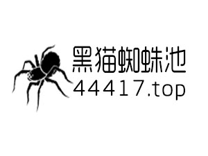 如何进行网站推广